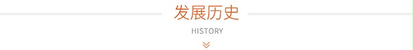 发展历史