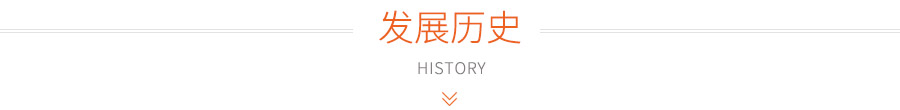 发展历史